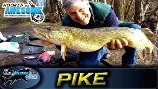 Pike fishing for Beginners - Deadbaiting and Floats | TAFishing