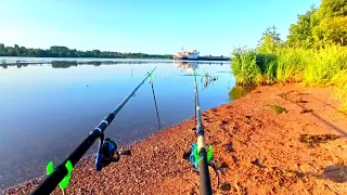 РЫБАЛКА НА ВОЛГЕ! РЫБА ВСЯ УШЛА ВНИЗ ПО ТЕЧЕНИЮ.