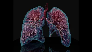 Basics of Respiratory physiology and ARDS by Prof. Dr. Kazi Mesbahuddin Iqbal