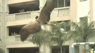 Indian Angel boy born with wings