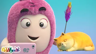 Katographie | Oddbods Deutsch | Cartoon For Kids