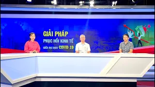 Tọa đàm: Giải pháp phục hồi kinh tế giữa đại dịch Covid-19 (THQH)