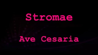 Stromae - Ave Cesaria (Lyrics Video * francia/angol/magyar)