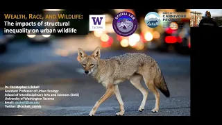 'Wealth, Race, and Wildlife: The Impacts of Structural Inequality on Urban Wildlife' - Chris Schell