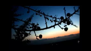Anathema-Fragile Dreams (video project)