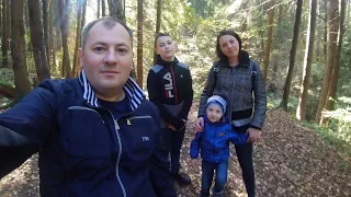 Прогулка в лесу /ЖАРИМ Сосиски /СЕМЬЯ 👪 /Осенний лес/