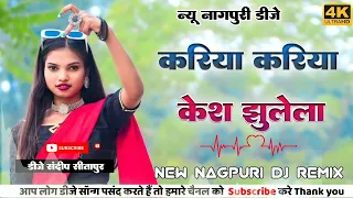 Kariya Kariya Kesh Jhulela || Nitesh Kachhap ||Teeth  Nagpuri Dj Song 2024 || new Nagpuri  Dj Song