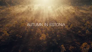ESTONIAN AUTUMN. Drone 4K. Footage by BAYGOT.