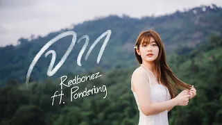 REDBONEZ - จาก feat.Pondering (Official MV)