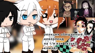 Реакция обещанный неверленд на т/и как незуко камадо