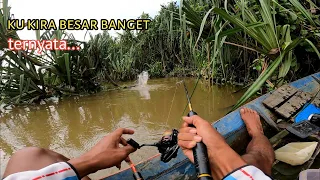 full senyum !! begitu ganas nya ikan menyambar umpan pemancing lain pasti iri