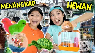 BORONG & MENANGKAP HEWAN LUCU ! AYAM & IKAN WARNA WARNI,KURA-KURA, HAMSTER ! CnX Adventurers