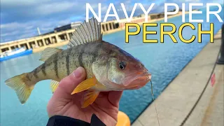 Navy Pier PERCH FISHING!! How to Catch them and What to Use