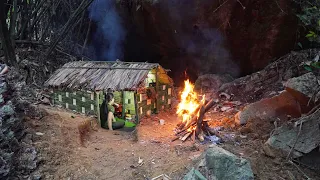 Solo Bushcraft Overnight In Rainforest - Build a house next to a large rock for me to shelter Part 1