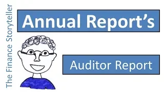 Auditor report in the annual report