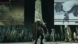 Dark Souls 2 - Majestic Greatsword & Pate's Shield NG+7 (No Damage)