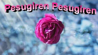 Pesugiren Song With Lyrics (In English) From The Movie Satham Podathey  (Tamil ).