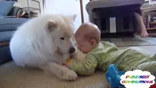 Animals Love Babies - Cute and Funny Compilation! - [August 2014]