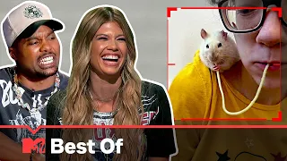 Ridiculousnessly Unusual Pets In Action 🐀 Ridiculousness