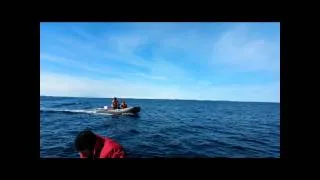 Мурманские морские рыбалки  Посейдон 520  2014