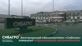 Белгородский свинокомплекс «Сибагро» завершил модернизацию мясокомбината