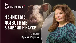 Нечистые животные в Библии и науке | Биолог Ирина Ступка