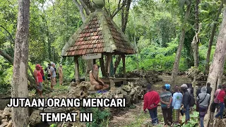 Di Luar Nalar! Bertapa Ratusan Tahun Di Tengah Hutan Jadi Seperti Ini