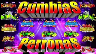 CUMBIAS SONIDERAS 2024 🎶 CUMBIAS PARA BAILAR TODA LA NOCHE 💃 QUINTANNA, LOS TEPOZ, YULIOS KUMBIA