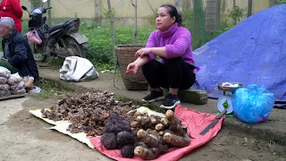 FULL VIDEO: 60 Day Go to the market to sell ginger, fruits, vegetables, tuber & take care of pets.