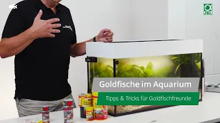 JBL TV #25: Goldfische im Aquarium - Tipps & Tricks zur Pflege