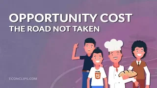 🛣 Opportunity Cost | The Road Not Taken