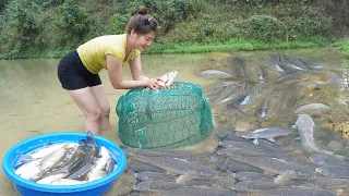Harvesting Fish In The Field Goes To  Village Market Sell - Cooking Fish | My Bushcraft