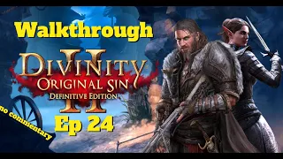 Divinity: Original Sin II | Gameplay Walkthrough | 60FPS HD | No Commentary Ep24