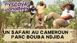 UN SAFARI AU CAMEROUN C'EST POSSIBLE ! GO PARC BOUBA NDJIDDA AVEC DYSCOVA.