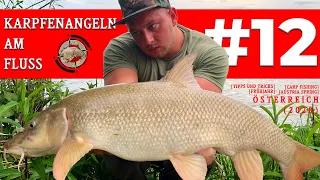 Karpfenangeln am Fluss - Hochwasser Endgame | carpfishing, river, tipps, tricks, river, donau (2020)