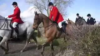 Fox Hunting, 2014