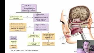 Chapter 13   Host Microbe Interactions (CC)