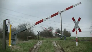 Spoorwegovergang Niederpöllnitz (D) // Railroad crossing // Bahnübergang