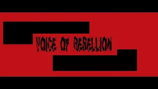 Voice of  Rebellion Vcelin 2019