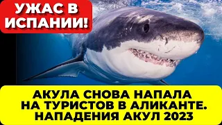 Акула напала на туристов в Испании. Ужас в море. Нападение акул 2023.Ученые нашли причину. Новости