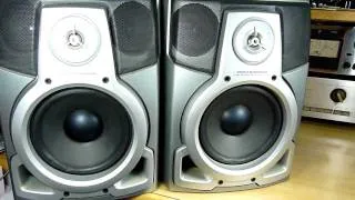 aiwa SX-FNS905 Speaker System (Bass I Love You)