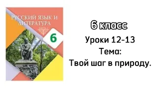 Русский язык 6 класс Уроки 12-13 Тема: Твой шаг в природу. Орыс тілі 6 сынып 12-13 сабақ