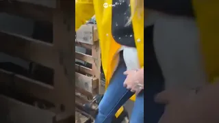 Cachorro resgatado abraça perna de voluntária no RS