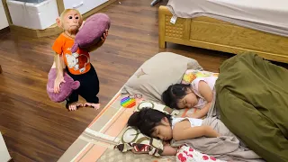 So cute Monkey Bibi knows how to take care of sleep...