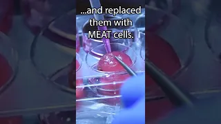 Turning a Grape Into MEAT