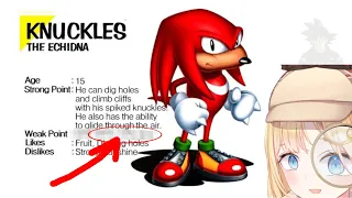 The truth about Knuckles the Echidna
