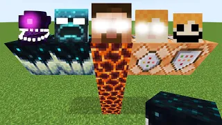 what if you create a MUTANT DISTORTED HEROBRINE STORM BOSS in MINECRAFT