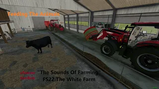 FS22 The White Farm Let's Play (Ep 3) Feeding The Animals