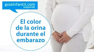 Los cambios en el color de la orina de la mujer embarazada | Guiainfantil responde