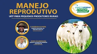 Palestra - MANEJO REPRODUTIVO - IATF PARA PEQUENOS PRODUTORES RURAIS